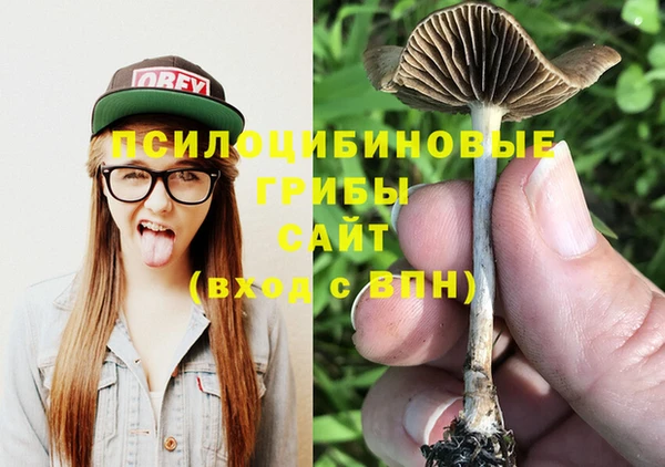 стаф Покачи