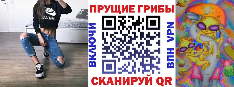 Галлюциногенные грибы GOLDEN TEACHER купить закладку Тайга
